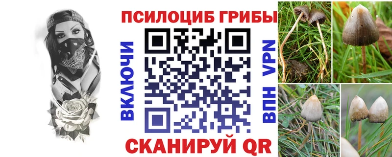 Псилоцибиновые грибы MAGIC MUSHROOMS купить закладку Алушта